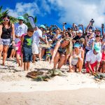 EDITORIAL – Turtle release: A ‘shell game’ worth playing