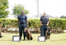RCIPS dogs certified to US, UK standards
