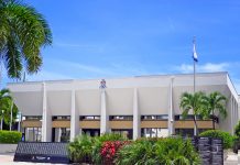 Six months for theft from tourist