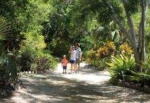 Botanic Park Family Fun Day
