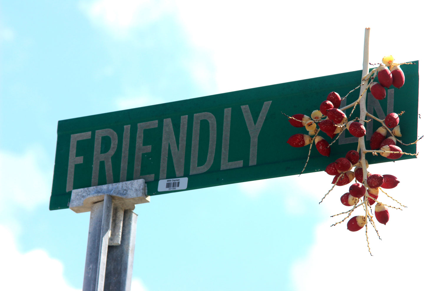 Friendly Lane and other tales Cayman Compass