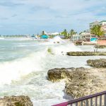 Businesses weather storms for strong shopping season