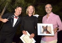 PAWS Under the Stars at Grand Old House
