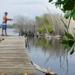 Conservation council seeks $10 million to protect land