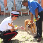 EDITORIAL – Roaming dogs: The responsibilities of pet ownership