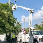Turtle-friendly lighting to become mandatory on key nesting beaches