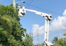 Turtle-friendly lighting to become mandatory on key nesting beaches