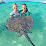 Warning over mishandling of wildlife