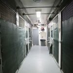 Attorney: Transfer of gang killers plotting jail break was legal