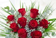 Lots of love in the air for Valentine’s Day
