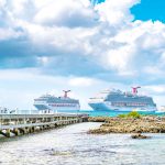 Government denies interfering in cruise petition verification