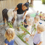 Preschool gets first ‘excellent’ mark from inspectors