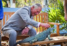 Prince’s call to action on environment