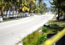 Police identify man killed in Brac hit-and-run
