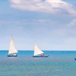 Catboats to take to the water Saturday