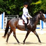 Cayman equestrians rise to meet dressage challenge
