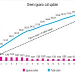 Iguana cull approaches 470,000