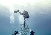 Coral nursery gets a scrubbing