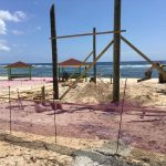Coe Wood Beach getting $200,000 craft market