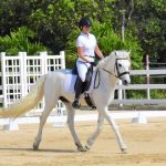 Riders compete in national dressage show
