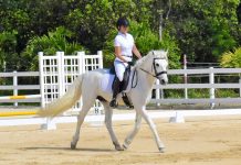 Riders compete in national dressage show