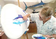 ‘Shark talks’ to get kids hooked on conservation
