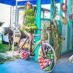 Agriculture Show embraces tradition