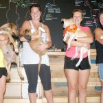 Come for a drink, stay for the puppies at Premier