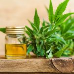Doctors Express sues CBC over vaporised cannabis raid