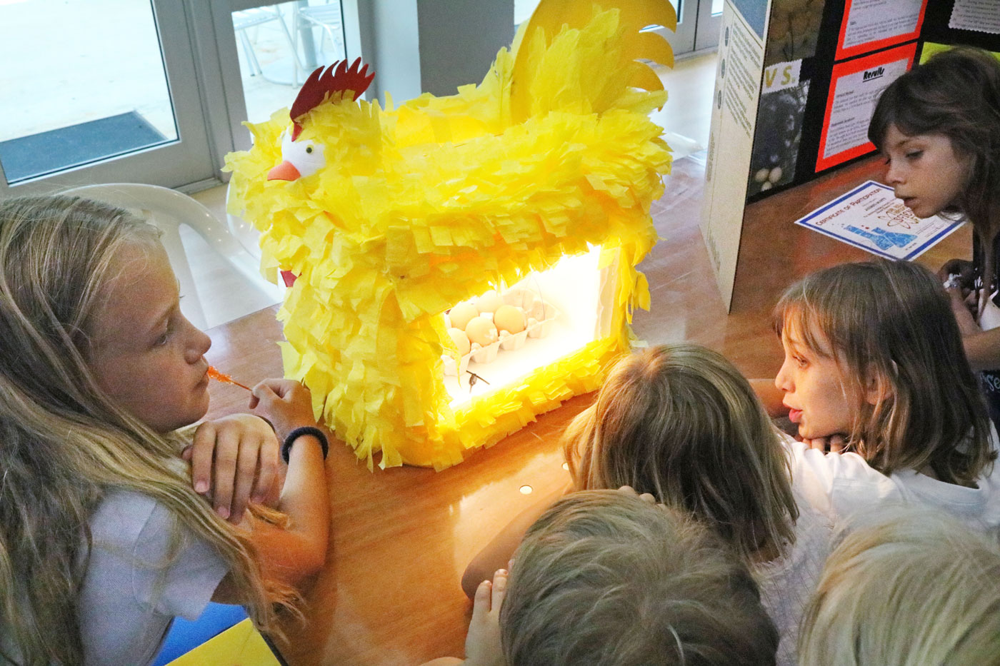 Young scientists veer towards the practical Cayman Compass