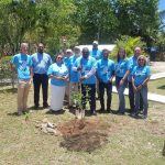 Trees planted at Cayman’s first Arbour Day