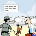 Drug dogs