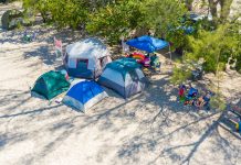 Easter campers advised to watch for turtle nests, keep spaces clean