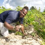 Easter eggs signal start of turtle nesting season