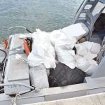 Three charged in 810 lbs of ganja case in court