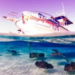 Guy Harvey Cocktail Party