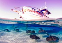 Guy Harvey Cocktail Party