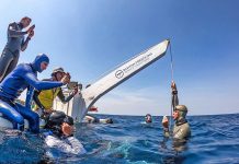Freediver rises to new heights by hitting new depths