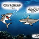 Shark conservation
