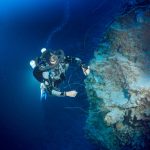 Divers go to unexplored depths at Little Cayman