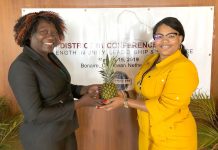 Conolly elected division director for Toastmasters