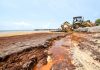Cayman coastline hit by stinky seaweed, again