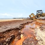Cayman coastline hit by stinky seaweed, again
