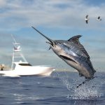 Fishing competition offers US$520,000 in prizes