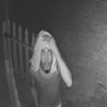 Police seek three attempted robbery suspects