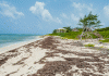 Eco-resort planned for East End’s Barefoot Beach