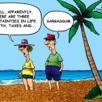Sargassum certainty