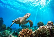 Government pushes forward with controversial conservation law changes