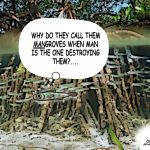 Mangrove destruction