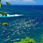 Dentist’s Hawaii odyssey in honour of friend
